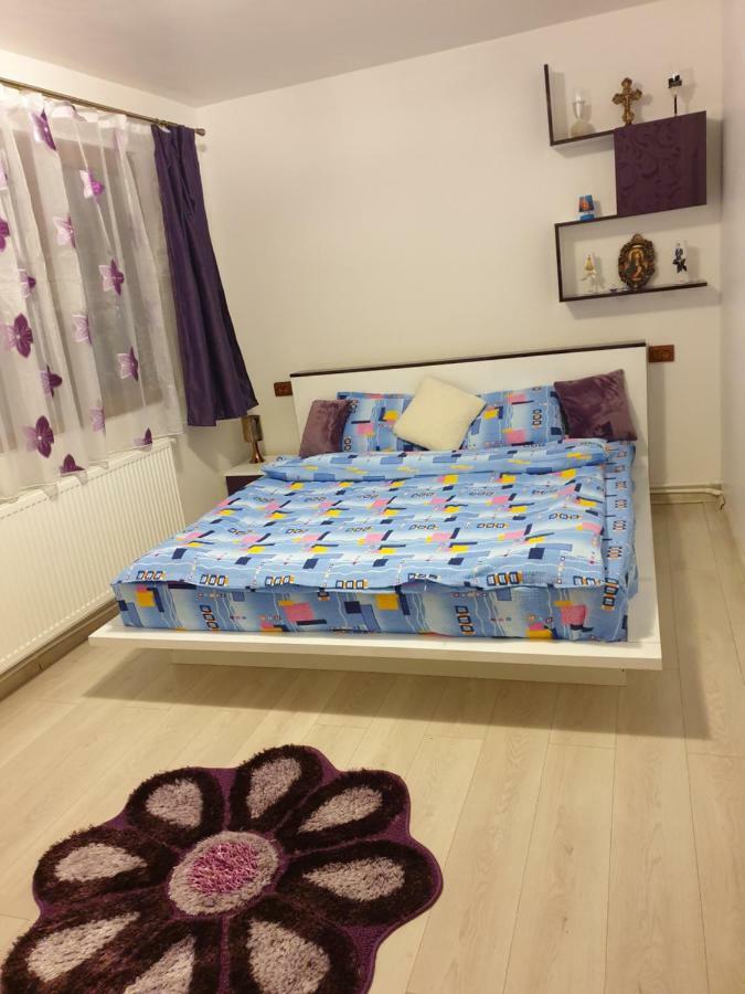 Apartament Oana'S Home โอร์โชวา ภายนอก รูปภาพ